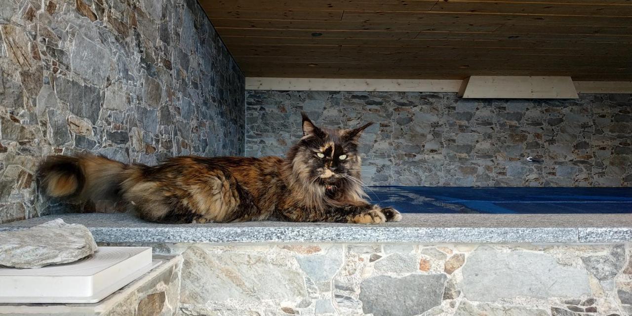 Вилла L Ame Et Son Du Coeur Dorenaz Экстерьер фото